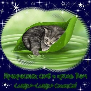 Доброго утра Хорошего дня Спокойной ночи  - 1572029712083.jpg