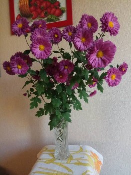 Декоративные садовые растения. - IMG_2019-10-26_095503.jpg