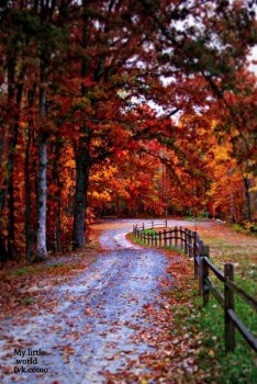 Поэзия - 1572373892.jpg