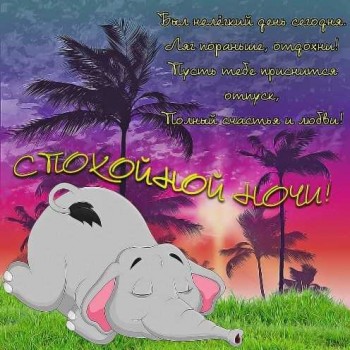 Доброго утра Хорошего дня Спокойной ночи  - 1572630493810.jpg