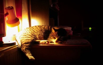 Доброго утра Хорошего дня Спокойной ночи  - image.jpg