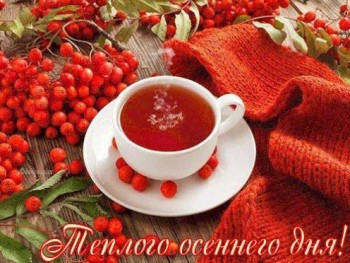 Доброго утра Хорошего дня Спокойной ночи  - image.jpg