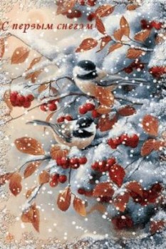 Доброго утра Хорошего дня Спокойной ночи  - image.jpg