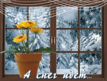 Доброго утра Хорошего дня Спокойной ночи  - image.jpg