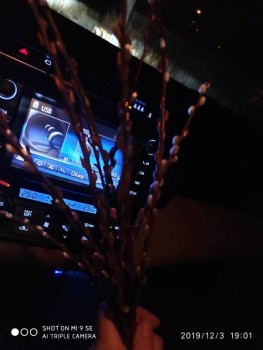 Чем сегодня занимались - IMG-20191203-WA0030.jpg