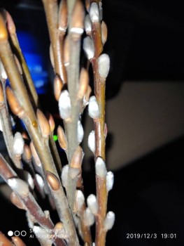 Чем сегодня занимались - IMG-20191203-WA0029.jpg