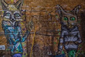 Посмотри .. стрит-арт - FB_IMG_1576067288460.jpg