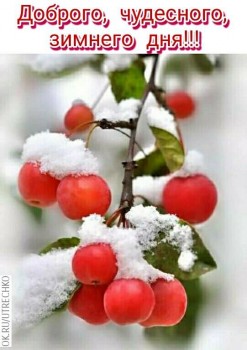 Доброго утра Хорошего дня Спокойной ночи  - image.jpg