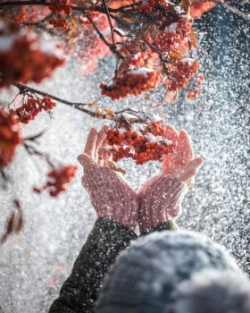 Аватарки. Наши интернет-лица-2 - nf9l13cTR8E.jpg