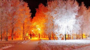 Доброго утра Хорошего дня Спокойной ночи  - image.jpg