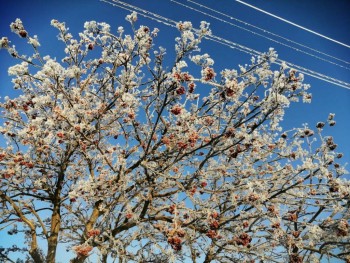 Чем сегодня занимались - IMG-20200107-WA0008.jpg