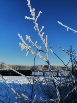 Чем сегодня занимались - IMG-20200107-WA0012.jpg