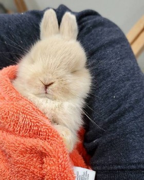 Доброго утра Хорошего дня Спокойной ночи  - lLWFgQ6g9KQ.jpg