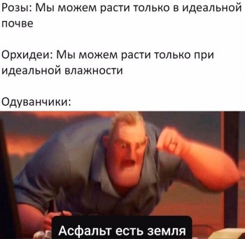 Из ВКонтактика с приветиком  - KLQqpN_4eC8.jpg