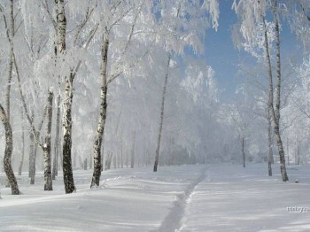 Доброго утра Хорошего дня Спокойной ночи  - image.jpg