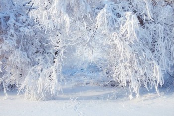 Доброго утра Хорошего дня Спокойной ночи  - image.jpg