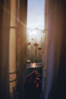 Поэзия - 1579496696.jpg