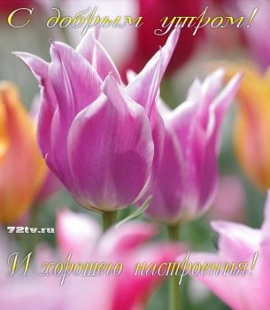 Доброго утра Хорошего дня Спокойной ночи  - image.jpg