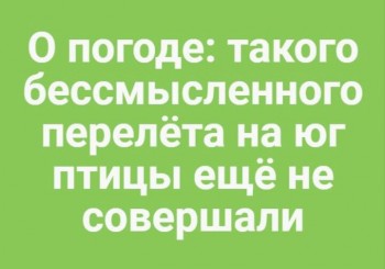 Поговорим о погоде - IMG_20200122_181124.jpg