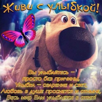 Доброго утра Хорошего дня Спокойной ночи  - 1576747578665.jpg