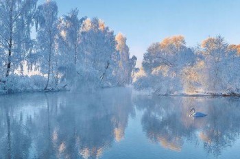 Доброго утра Хорошего дня Спокойной ночи  - image.jpg