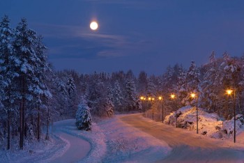 Доброго утра Хорошего дня Спокойной ночи  - image.jpg