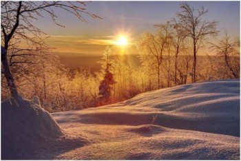 Доброго утра Хорошего дня Спокойной ночи  - image.jpg