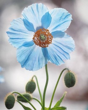 Доброго утра Хорошего дня Спокойной ночи  - 6O4IIs1AA8k.jpg