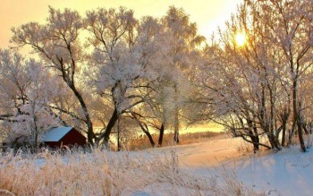 Доброго утра Хорошего дня Спокойной ночи  - image.jpg