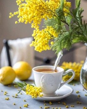 Доброго утра Хорошего дня Спокойной ночи  - IMG_20200204_175325.jpg