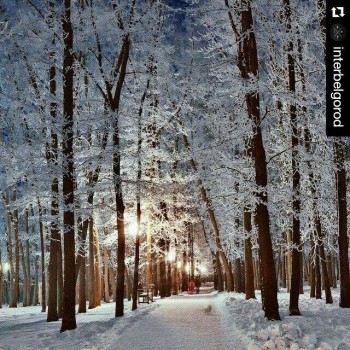 Доброго утра Хорошего дня Спокойной ночи  - image.jpg