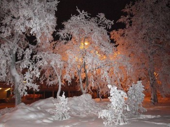 Доброго утра Хорошего дня Спокойной ночи  - image.jpg