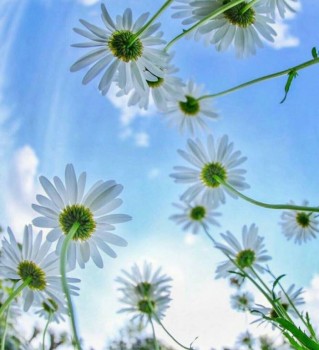 Доброго утра Хорошего дня Спокойной ночи  - iayilybiBsg.jpg