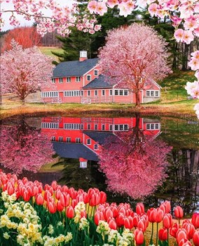 Доброго утра Хорошего дня Спокойной ночи  - ckYmg02s8i0.jpg