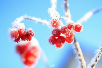 Доброго утра Хорошего дня Спокойной ночи  - image.jpg