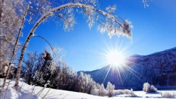 Доброго утра Хорошего дня Спокойной ночи  - image.jpg