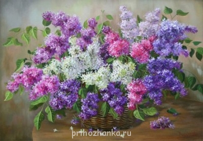 А какие Вы любите цветы? - 1482081-a40273ccdb16bb6e.jpg