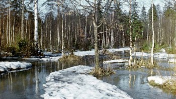 Доброго утра Хорошего дня Спокойной ночи  - image.jpg