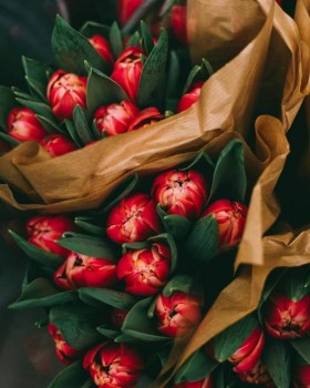 Доброго утра Хорошего дня Спокойной ночи  - rRwL2N3RMEg.jpg