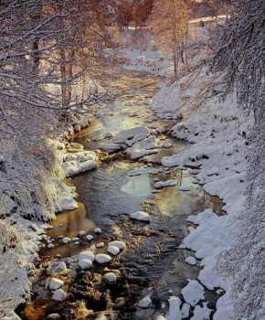 Доброго утра Хорошего дня Спокойной ночи  - image.jpg