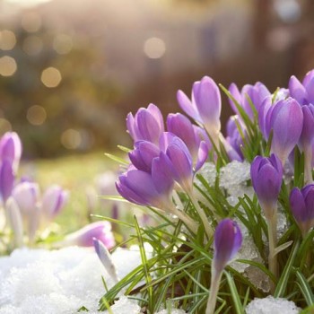 Доброго утра Хорошего дня Спокойной ночи  - image.jpg