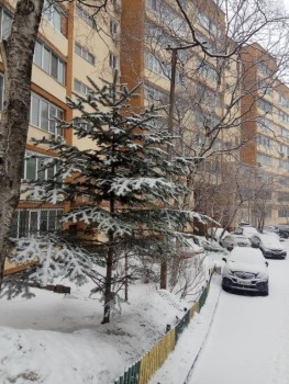 Поговорим о погоде - IMG_2020-03-15_090743.jpg