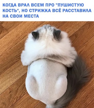 Из ВКонтактика с приветиком  - lJ9LyI0Glc4.jpg