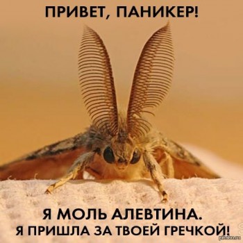 Из ВКонтактика с приветиком  - 1425543029_2039018114.jpg