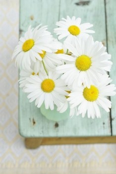 Чем сегодня занимались - hyh08YyW1Wc.jpg