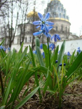 Доброго утра Хорошего дня Спокойной ночи  - image.jpg