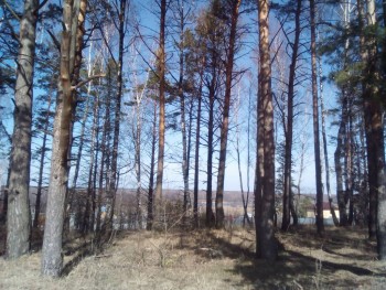 Чем сегодня занимались - IMG_20200326_111011.jpg