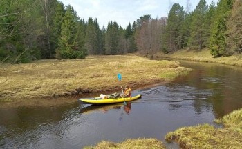 Доброго утра Хорошего дня Спокойной ночи  - image.jpg