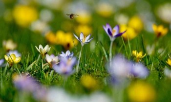 Доброго утра Хорошего дня Спокойной ночи  - image.jpg