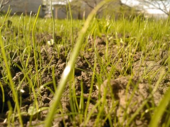 Доброго утра Хорошего дня Спокойной ночи  - image.jpg